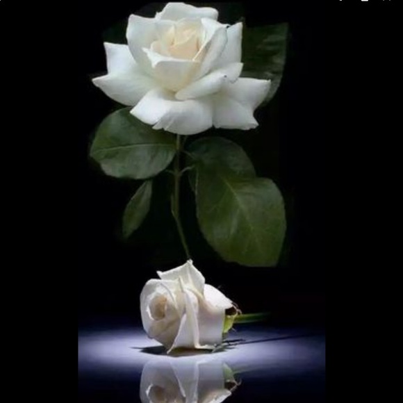 WELCOME TO MY CLOSET! - Picture 1 of 1